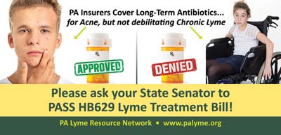 AD_Lyme billboard